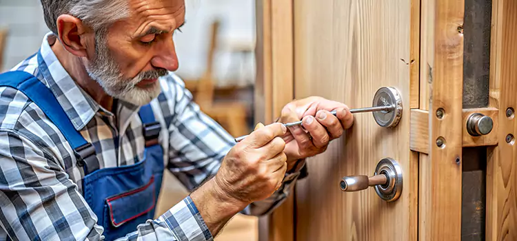 Mortise Replacement Lock Mount Vernon